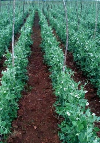 WhatsApp Image 2024-11-16 at 12.22.49 (1)