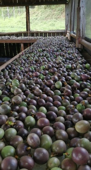 WhatsApp Image 2024-11-18 at 09.29.14 (2)